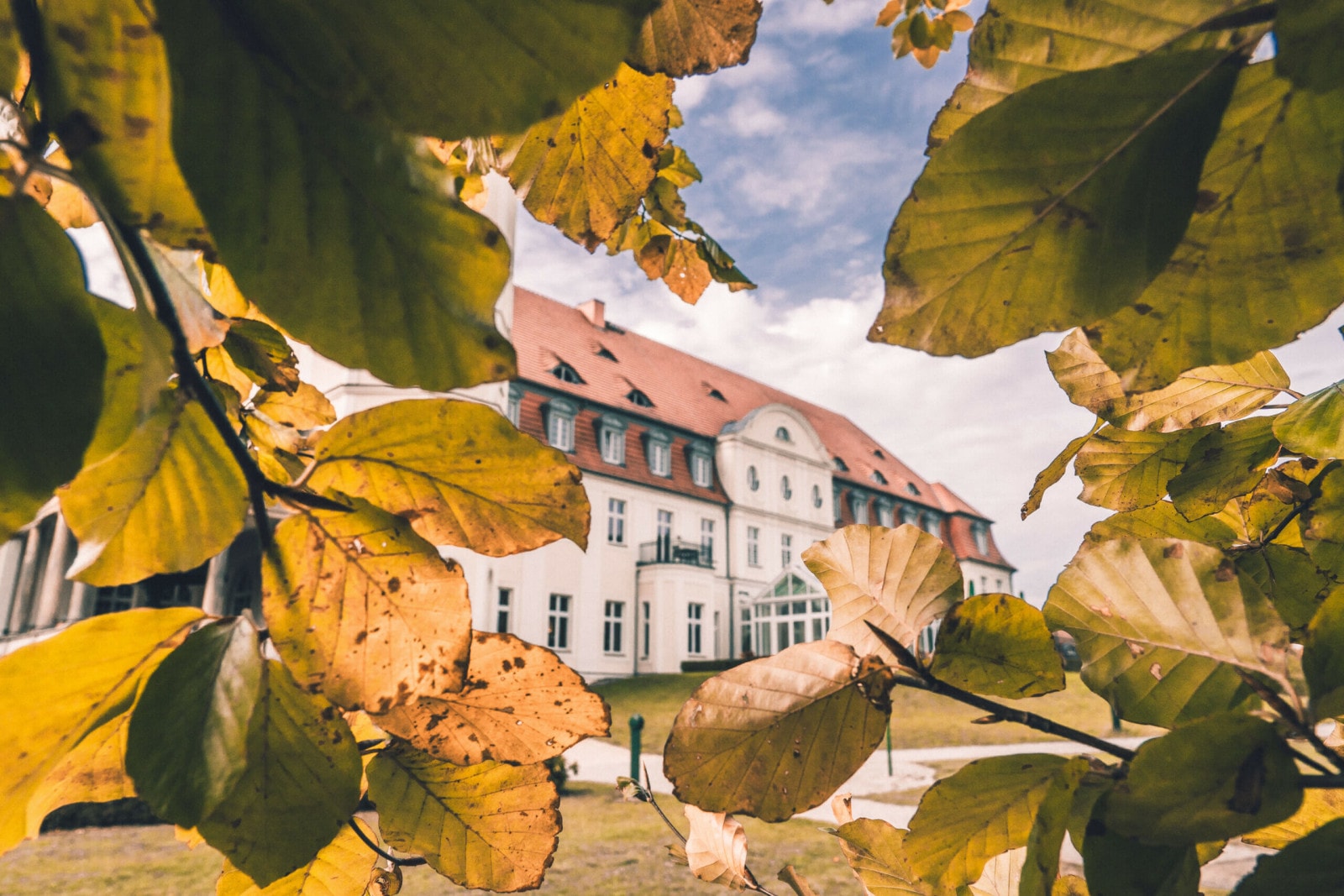 Blick auf das Schloss Fleesensee durch Herbstblätter.