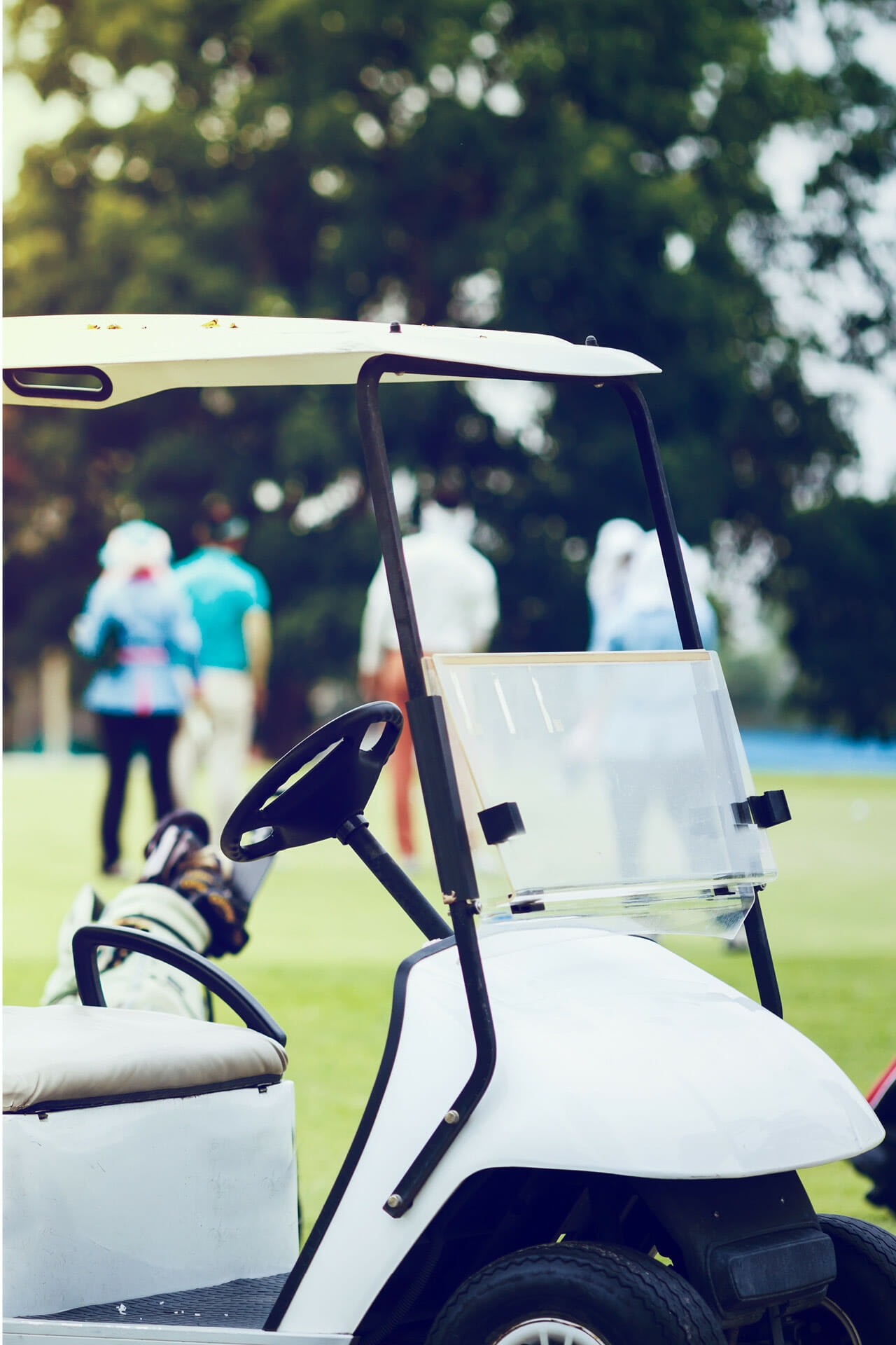 Ein Golfcart auf dem Golfkurs.