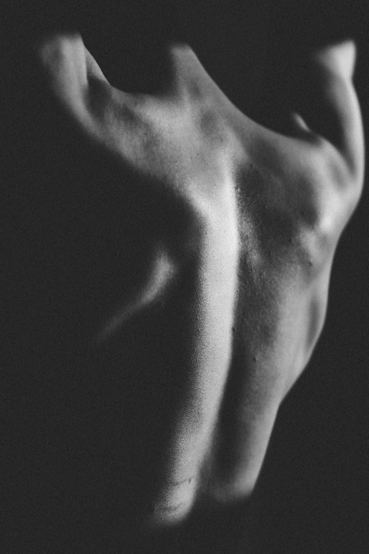 Schultermuskeln in schwarz-weiß